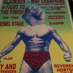 RIOT FEST 2012 Steve Walters Poster Print FRAMED Gogol Bordello FRAMED