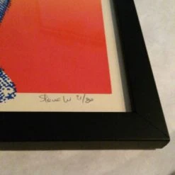 RIOT FEST 2012 Steve Walters Poster Print FRAMED Gogol Bordello FRAMED