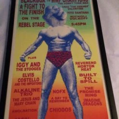 RIOT FEST 2012 Steve Walters Poster Print FRAMED Gogol Bordello FRAMED