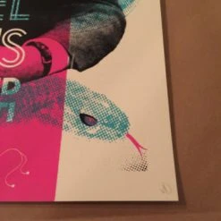 Chicago, IL Ariel Pink's - Delicious Design Poster Print Chicago IL Haunted Graffiti Dallas