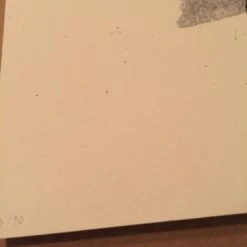 AIIA - Delicious Design Poster Print Chicago, IL Pitchfork Music Festival Union 11 AIIA - Delicious Design Poster Print Chicago, IL Pitchfork Music Festival Union