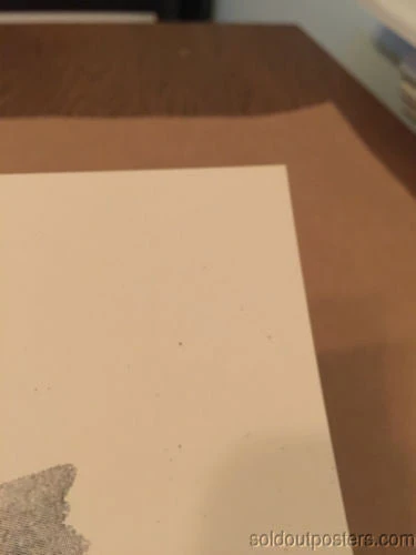 AIIA - Delicious Design Poster Print Chicago, IL Pitchfork Music Festival Union 5 AIIA - Delicious Design Poster Print Chicago, IL Pitchfork Music Festival Union