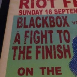 RIOT FEST 2012 Steve Walters Poster Print FRAMED Gogol Bordello FRAMED