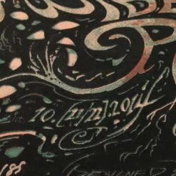 Widespread Panic - Miles Tsang DUSK Poster Print St. Louis MO Peabody Opera Gig Posters