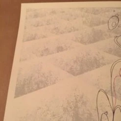 The Appleseed Cast - 3/19/2010 Delicious Design Poster Print Chicago, IL Bottom