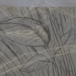 Art Prints The Enormous Crocodile - 2015 Zeb Love Original Sketch Drawing