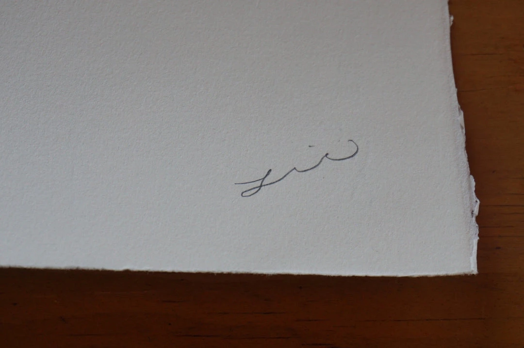 Jay Turner/The Lie Wolverine - 2016 Jay Turner The Lie Poster Print C2E2 Hand Signed And Numbered 7 Jay Turner/The Lie Wolverine - 2016 Jay Turner The Lie Poster Print C2E2 Hand Signed And Numbered