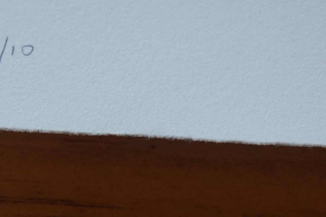 Jay Turner/The Lie Wolverine - 2016 Jay Turner The Lie Poster Print C2E2 Hand Signed And Numbered 8 Jay Turner/The Lie Wolverine - 2016 Jay Turner The Lie Poster Print C2E2 Hand Signed And Numbered