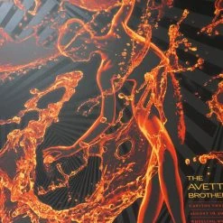 The Avett Brothers - 2015 Todd Slater Poster Print Wheeling, WV Capitol X/200