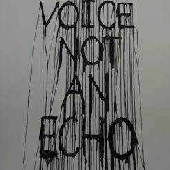 Be A Voice Not An Echo - 2015 Hijack Poster Street Art Brainwash Mr Brainwash