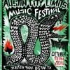 Austin City Limits Festival - 2013 Carlos Hernandez Poster #'d Print ACL Weekend 2