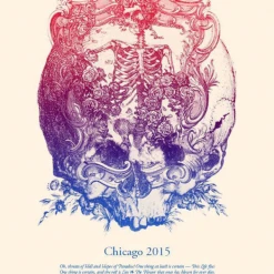 Grateful Dead - 2015 Kyle Baker Poster Fare Thee Well Chicago, IL