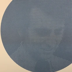 Carl Sagan - 2016 Justin Van Genderen Poster 1st Edition