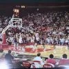 Sold Out Posters The Chicago Bulls - 1991 Brad Bennett Michael Jordan Poster Original Vintage