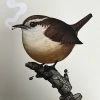 Fat Bird - 2019 Mike Mitchell Poster Carolina Wren Variant