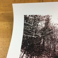 Soundgarden - 2013 Justin Hampton Poster Los Angeles Wiltern Theatre 12 Soundgarden - 2013 Justin Hampton Poster Los Angeles Wiltern Theatre