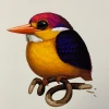 Fat Bird - 2020 Mike Mitchell Poster Rufous-Backed Dwarf Kingfisher 1st Art Prints
