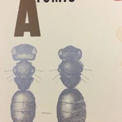 Sold Out Posters Vandermark 5 - 2004 Poster Baltimore, MD Ottobar