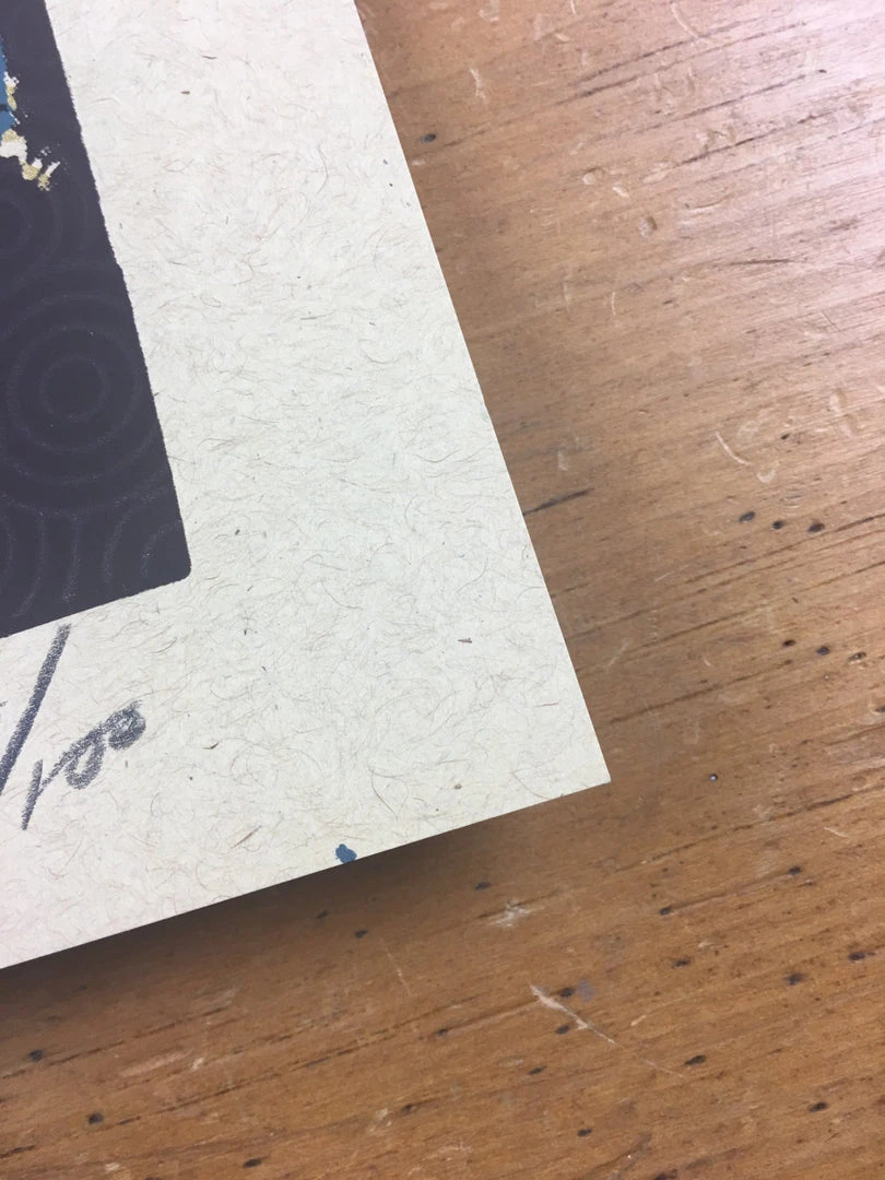 Gig Posters Bob Dylan - 2013 Xray Poster Art Print 7 Gig Posters Bob Dylan - 2013 Xray Poster Art Print