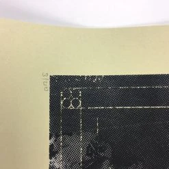 Gig Posters The Dead Weather - 2010 Mark McDevitt Poster Albuquerque, NM Sunshine Theatre