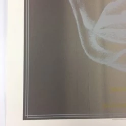 Igor Stravinsky's Rite Of Spring - 2013 Dan MacAdam Crosshair Poster Chicago, IL 13 Igor Stravinsky's Rite Of Spring - 2013 Dan MacAdam Crosshair Poster Chicago, IL