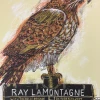 Gig Posters Ray Lamontagne - 2014 Dan Grzeca Poster Tucson, AZ Fox Theatre