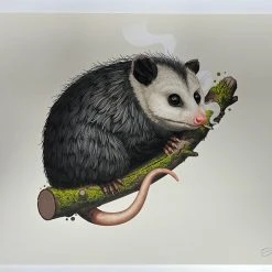 Virginia Opossum - 2018 Mike Mitchell Poster Art Print Variant