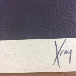 Gig Posters Bob Dylan - 2013 Xray Poster Art Print 13 Gig Posters Bob Dylan - 2013 Xray Poster Art Print