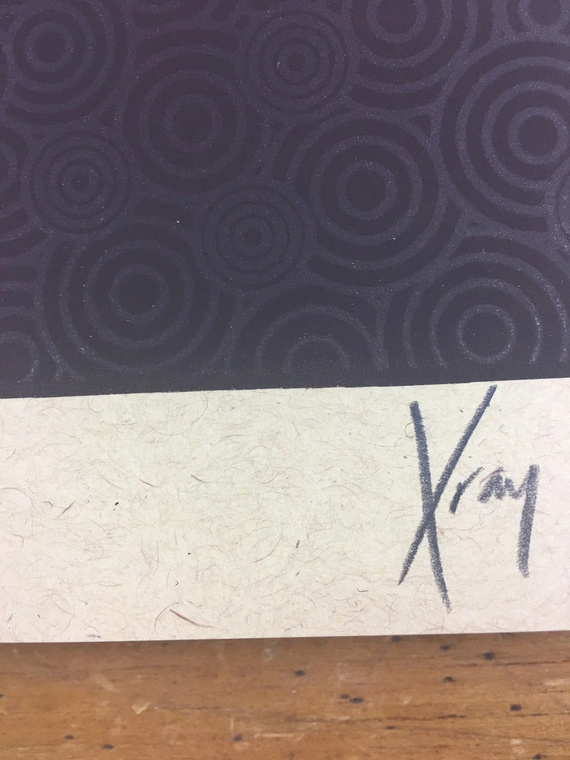 Gig Posters Bob Dylan - 2013 Xray Poster Art Print 6 Gig Posters Bob Dylan - 2013 Xray Poster Art Print