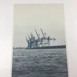 Cranes - 2011 Dan MacAdam Crosshair Poster Art Print Art Prints