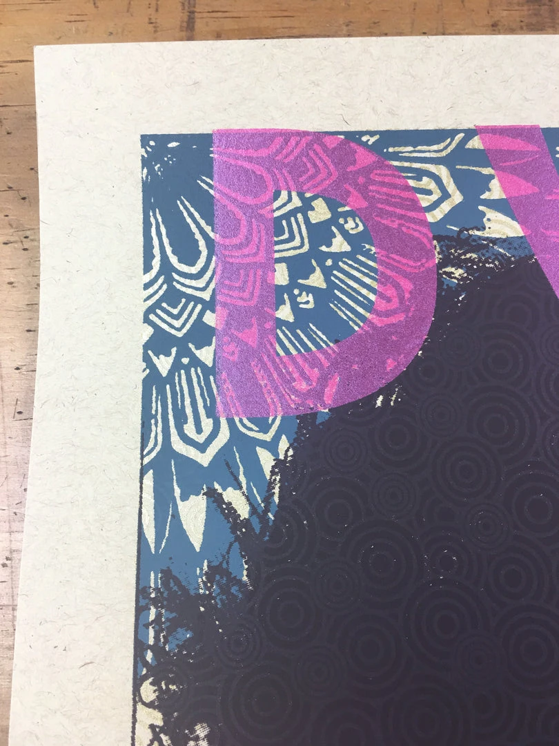 Gig Posters Bob Dylan - 2013 Xray Poster Art Print 9 Gig Posters Bob Dylan - 2013 Xray Poster Art Print