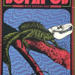 Dopapod - 2019 Status Serigraph Poster Denver, CO Ogden Theatre Colorado