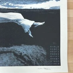 The Dead Weather - 2010 Rob Jones Poster Chicago, IL Congress Theater