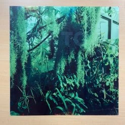 Sold Out Posters The Promise Ring - 2002 Original Vinyl Poster Insert 12x12 Record Art Gig Posters