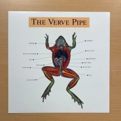 Sold Out Posters The Verve Pipe - 1999 Original Vinyl Poster Insert 12x12 Record Art