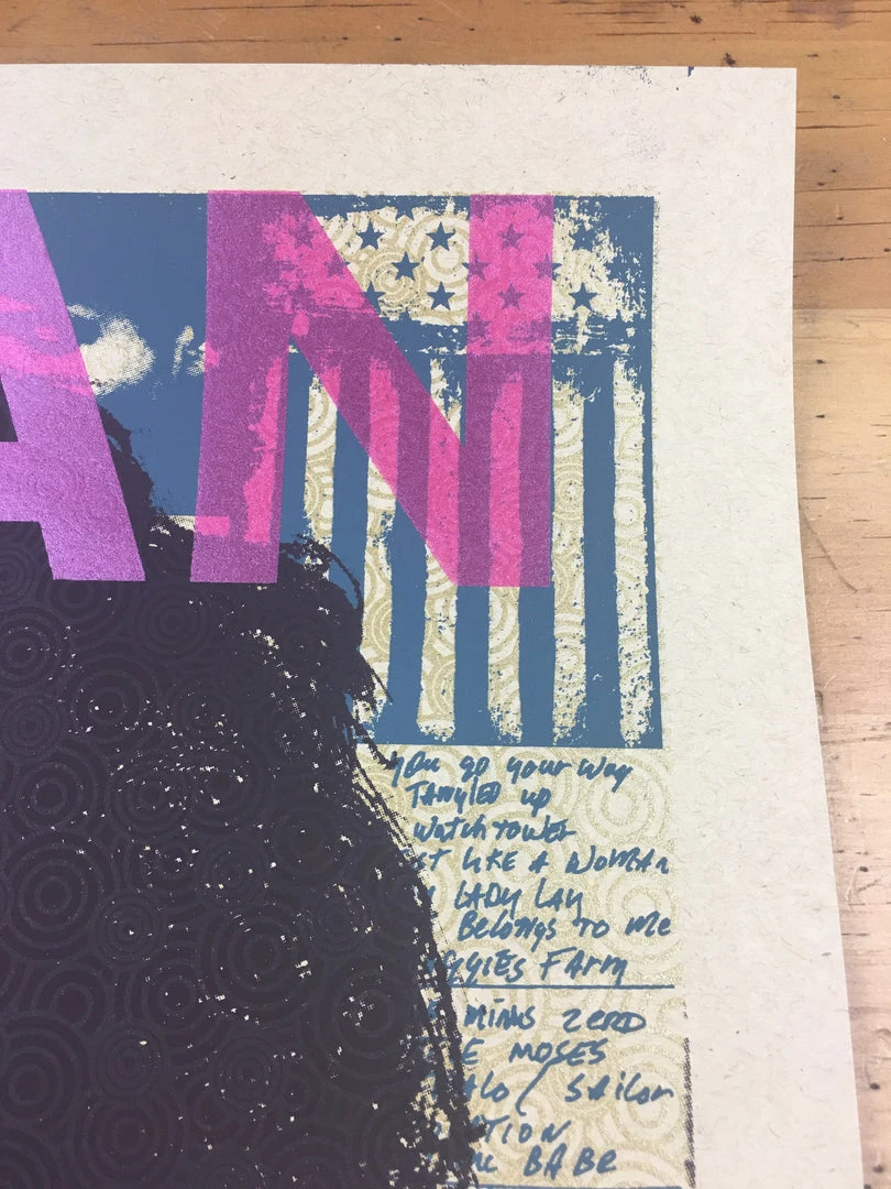 Gig Posters Bob Dylan - 2013 Xray Poster Art Print 10 Gig Posters Bob Dylan - 2013 Xray Poster Art Print