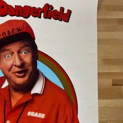 Sold Out Posters Ladybugs - 1992 Video Promo Movie Poster Original Vintage Rodney Dangerfield Movie/TV Posters 11 Sold Out Posters Ladybugs - 1992 Video Promo Movie Poster Original Vintage Rodney Dangerfield Movie/TV Posters