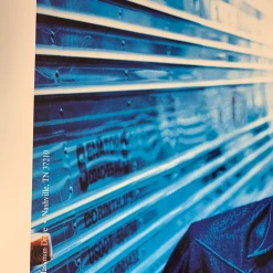 Michael Halsband The Wallflowers - Michael Ward Double Sided Poster Gibson Guitar USA 11 Michael Halsband The Wallflowers - Michael Ward Double Sided Poster Gibson Guitar USA