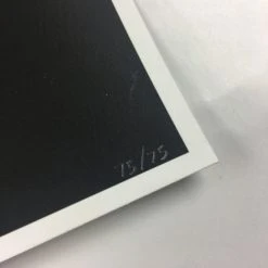 No Man's Land Wonder Woman - Robin Har Poster Art Print Movie/TV Posters