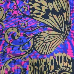 Big Head Todd & The Monsters - 2007 Todd Slater Poster Red Rocks Morrison, CO