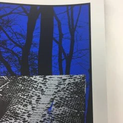 Gig Posters The Dead Weather - 2010 Todd Slater Poster Hollywood, CA Hollywood Palladium