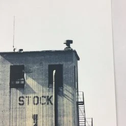 Flatstock 21 - 2009 Dan MacAdam Crosshair Poster Chicago, IL Union Park