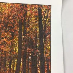 Art Prints Elder Days - 2010 Dan McCarthy Poster Art Print