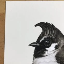 Fat Bird - 2017 Mike Mitchell Poster Himalayan Bulbul Art Prints