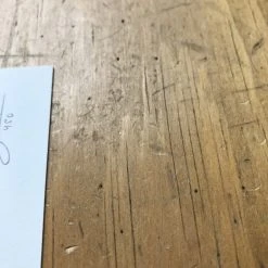 Fat Bird - 2017 Mike Mitchell Poster Himalayan Bulbul Art Prints