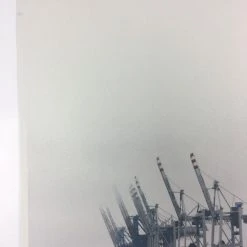 Cranes - 2011 Dan MacAdam Crosshair Poster Art Print Art Prints