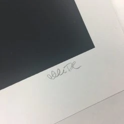 Untitled (Psych Drac) - 2008 Mike Budai Poster Art Print Art Prints