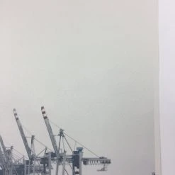 Cranes - 2011 Dan MacAdam Crosshair Poster Art Print Art Prints