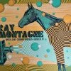 Gig Posters Ray LaMontagne - 2016 Status Serigraph Poster Brooklyn, NY