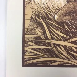 Brown Rat (Rattus Norvegicus) - 2015 Justin Santora Poster Art Print